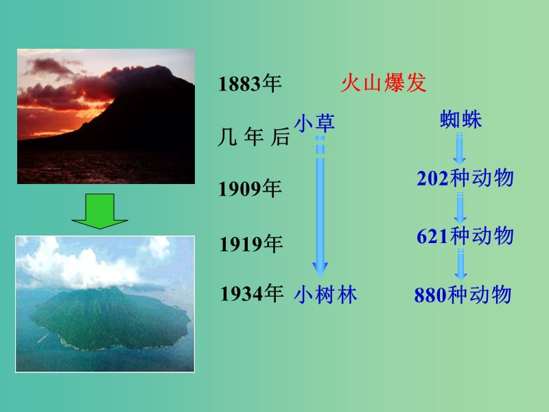 四川省成都市高中生物 第四章 种群和群落 4.4 群落的演替课件 新人教版必修3.ppt_第3页