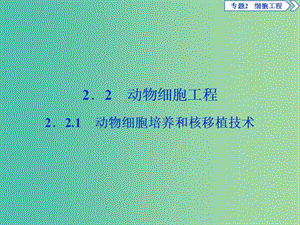 2019年春高中生物 專題2 細(xì)胞工程 2.2 動物細(xì)胞工程 2.2.1 動物細(xì)胞培養(yǎng)和核移植技術(shù)課件 新人教版選修3.ppt