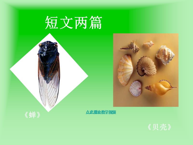 《短文两篇(蝉贝壳)》.ppt_第1页