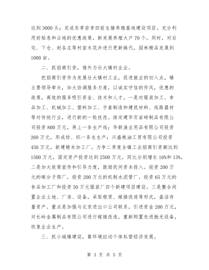 乡镇第二季度经济计划.doc_第3页