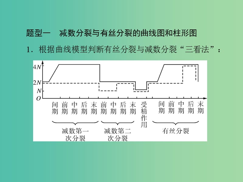 高考生物一轮总复习 第2章 小专题六 减数分裂和有丝分裂题型突破课件（必修2）.ppt_第2页