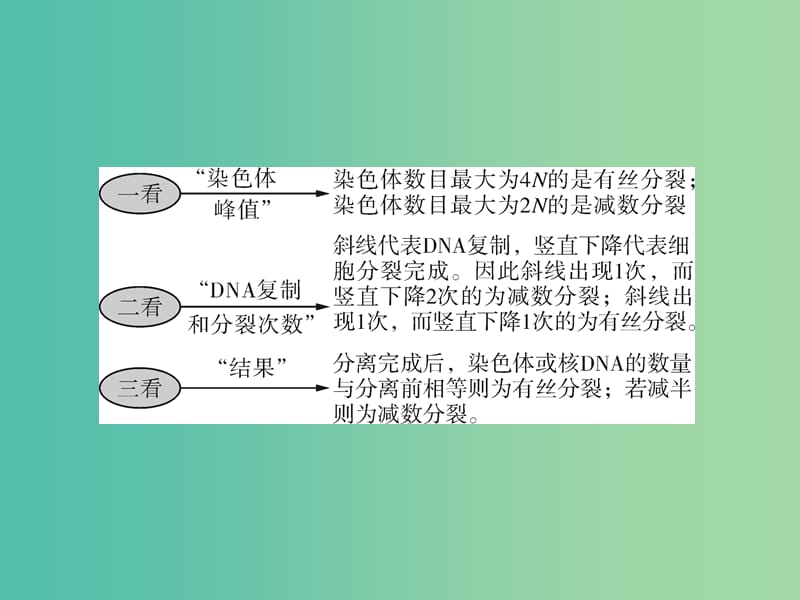 高考生物一轮总复习 第2章 小专题六 减数分裂和有丝分裂题型突破课件（必修2）.ppt_第3页