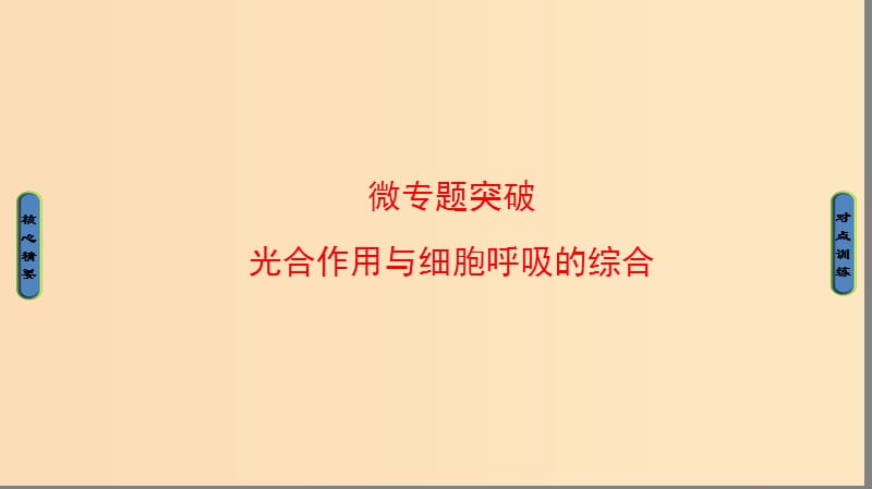 2018版高中生物 第五章 細胞的能量供應和利用 微專題突破課件 新人教版必修1.ppt_第1頁