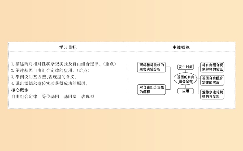 2018-2019学年高中生物1.2孟德尔的豌豆杂交实验二课件2新人教版必修2 .ppt_第2页