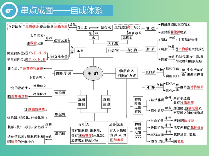 2019高考生物二轮复习 专题一 细胞 第1讲 细胞的物质基础、结构与功能、物质运输 第Ⅰ课时 基础自查——学生为主体 抓牢主干以不变应万变课件.ppt_第3页