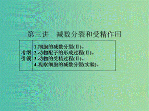 高考生物一輪總復習 第四單元 第三講 減數(shù)分裂和受精作用課件.ppt