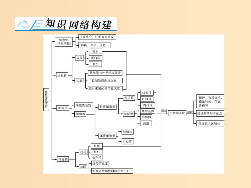 2019版高考生物一轮总复习 第3章 细胞的基本结构章末知识提升课件 必修1.ppt_第2页