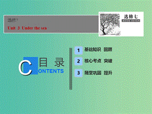 2019屆高考英語一輪優(yōu)化探究話題部分話題10選修7 Unit3Underthesea課件新人教版.ppt