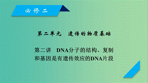 2019高考生物一輪總復(fù)習(xí) 第二單元 遺傳的物質(zhì)基礎(chǔ) 第2講 DNA分子的結(jié)構(gòu)、復(fù)制和基因是有遺傳效應(yīng)的DNA片段課件 新人教版必修2.ppt