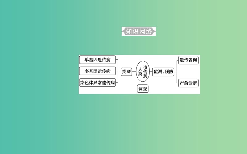 2019高中生物学业水平复习 专题十 人类遗传病 考点1 人类遗传病的类型课件.ppt_第2页