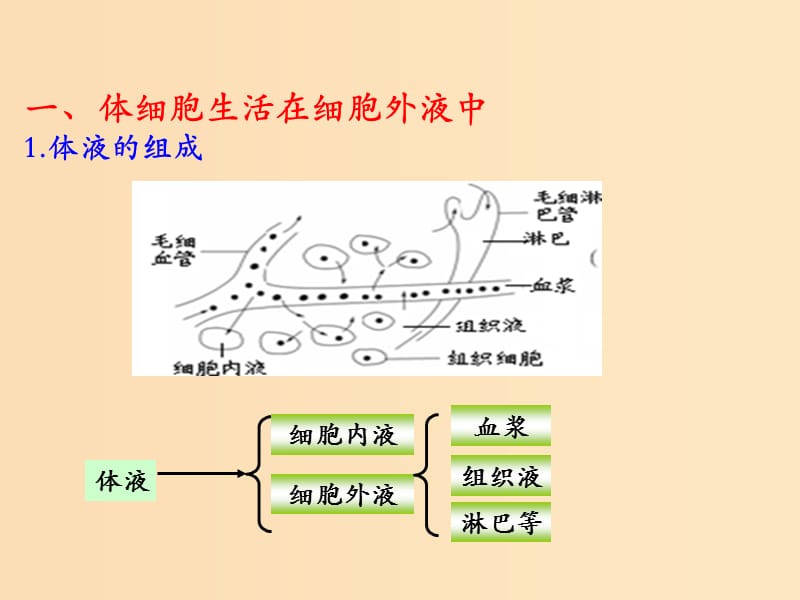 2018-2019学年高中生物 第一章 人体的内环境与稳态 专题1.1 细胞生活的环境课件（提升版）新人教版必修3.ppt_第1页