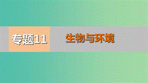 高考生物二輪專題復(fù)習(xí) 專題11 生物與環(huán)境課件.ppt