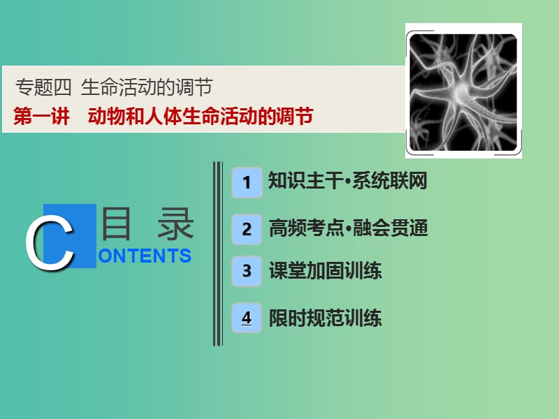 2019高考生物二轮复习 专题四 生命活动的调节 第一讲 动物和人体生命活动的调节课件.ppt_第1页