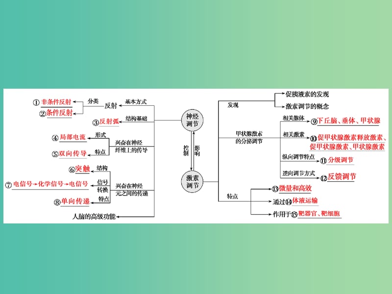 2019高考生物二轮复习 专题四 生命活动的调节 第一讲 动物和人体生命活动的调节课件.ppt_第3页