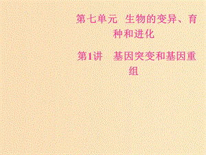 2019版高考生物總復(fù)習(xí) 第七單元 生物的變異、育種和進(jìn)化 第1講 基因突變和基因重組課件.ppt