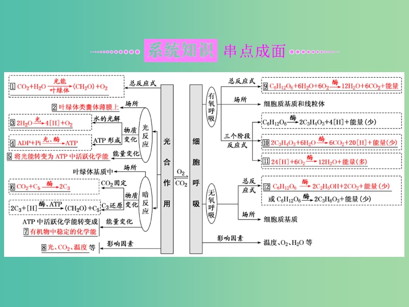 高考生物二轮复习专题二代谢串讲二细胞呼吸与光合作用第1课时基础自查课件.ppt_第2页