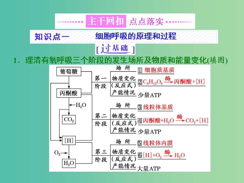 高考生物二轮复习专题二代谢串讲二细胞呼吸与光合作用第1课时基础自查课件.ppt_第3页