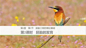 2018-2019學(xué)年高中生物 第2章 胚胎工程 第1節(jié) 胚胎工程的理論基礎(chǔ) 第2課時 胚胎的發(fā)育課件 北師大版選修3.ppt