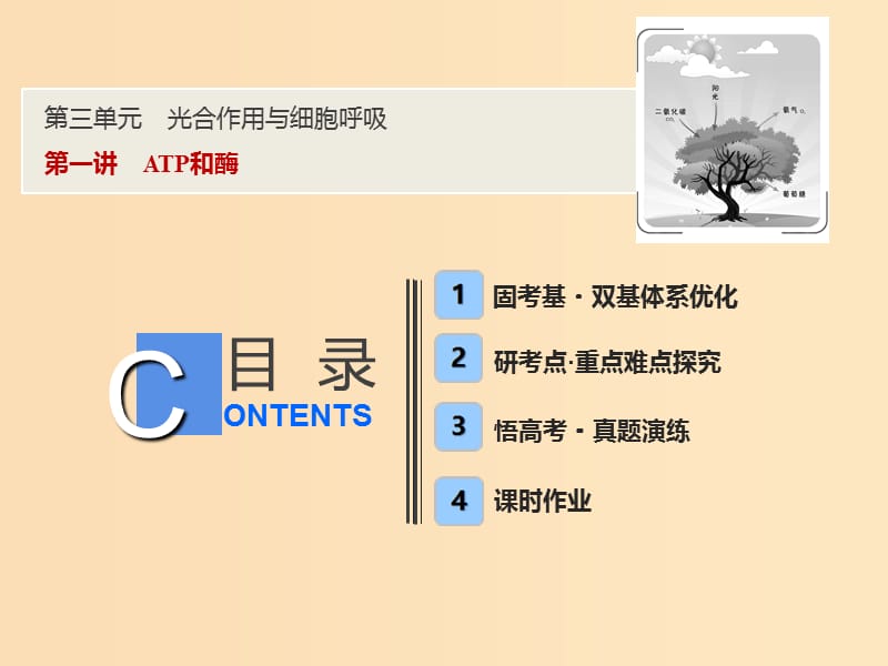 2019版高考生物一轮复习 第三单元 光合作用与细胞呼吸 第一讲 ATP和酶课件 苏教版.ppt_第1页