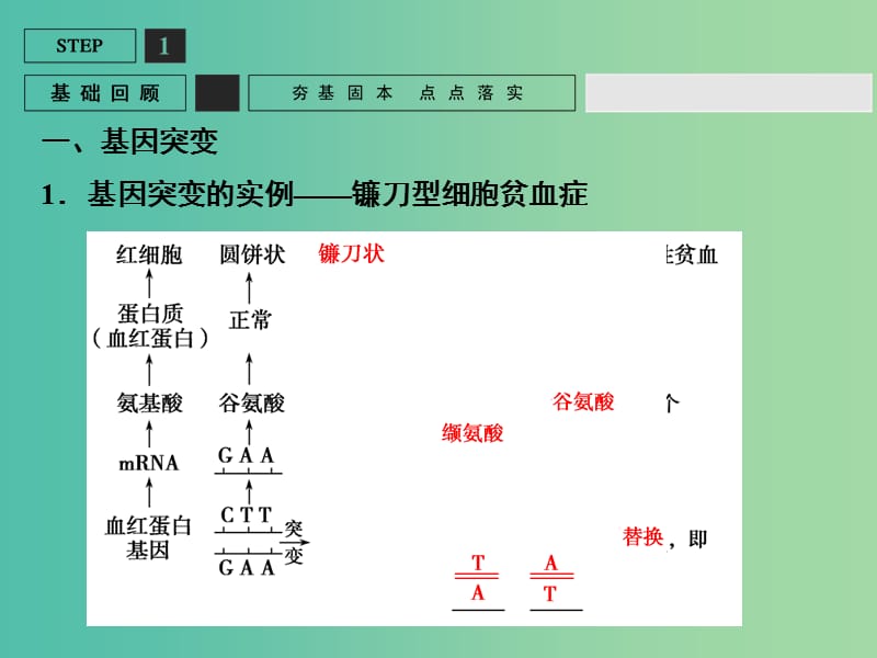 高考生物一轮复习 第3单元 基础课时案21 基因突变与基因重组课件 新人教版必修2.ppt_第3页