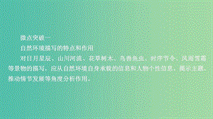 2020年高考語(yǔ)文一輪復(fù)習(xí) 第一編 現(xiàn)代文閱讀 專題四 微案二 環(huán)境描寫課件.ppt