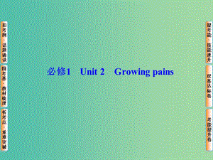 高考英語總復習 Unit2 Growing pains課件 牛津譯林版必修1.ppt