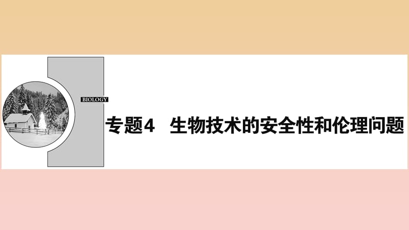 2017-2018学年高中生物 专题4 生物技术的安全性和伦理问题 4.1 转基因生物的安全性课件 新人教版选修3.ppt_第1页