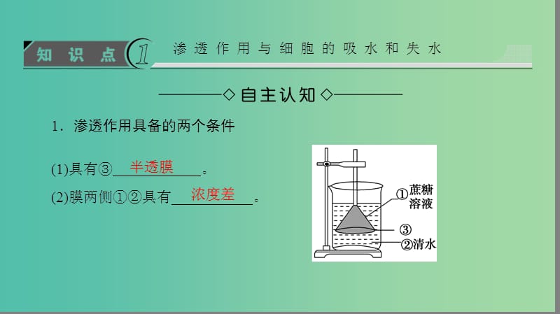 2018版高中生物 第四章 细胞的物质输入和输出 第1节 物质跨膜运输的实例课件 新人教版必修1.ppt_第3页