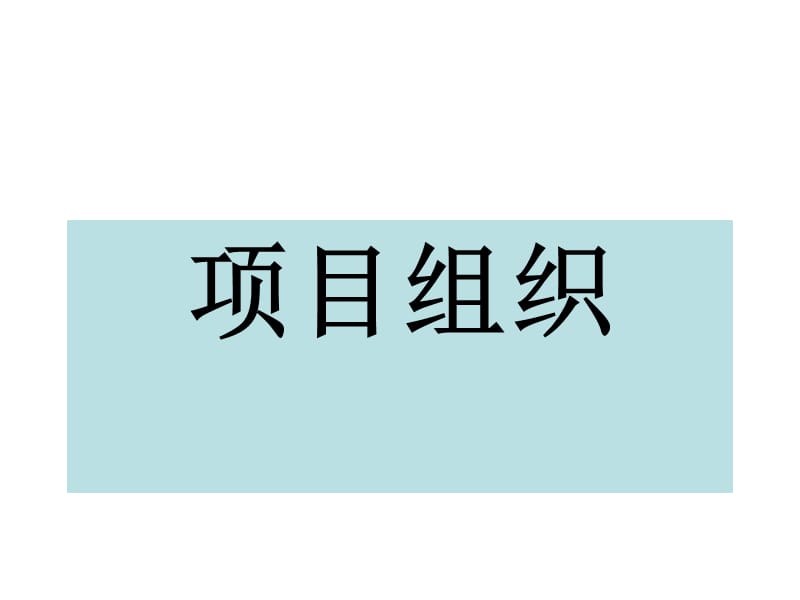 《项目组织类型》PPT课件.ppt_第1页