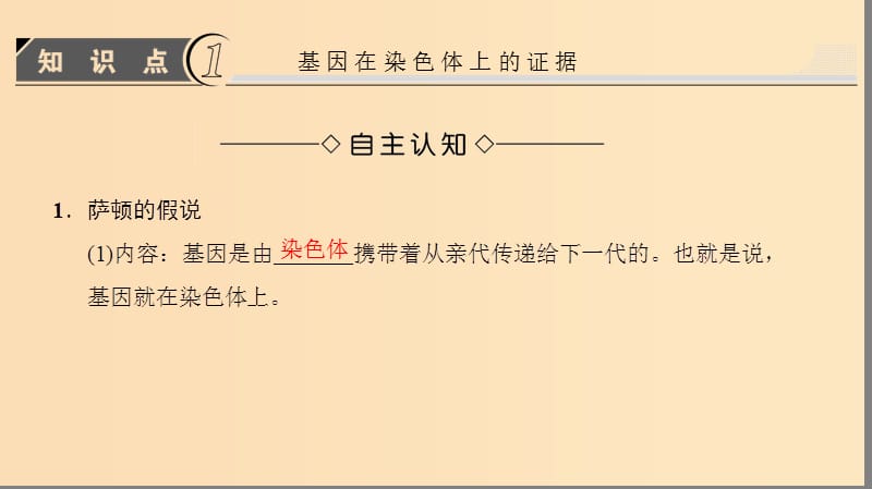 2018版高中生物 第二章 基因和染色体的关系 第2节 基因在染色体上课件 新人教版必修2.ppt_第3页