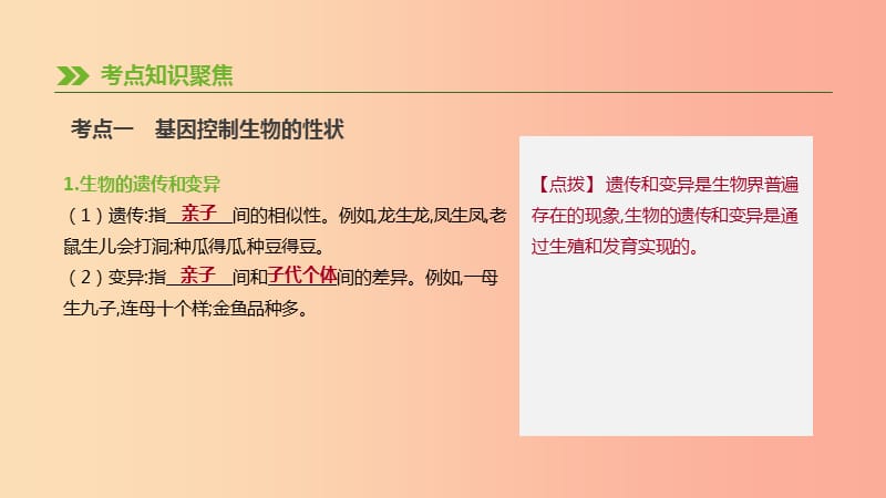 2019年中考生物 专题复习六 生命的延续 发展和健康地生活 第24课时 生物的遗传和变异课件 新人教版.ppt_第2页