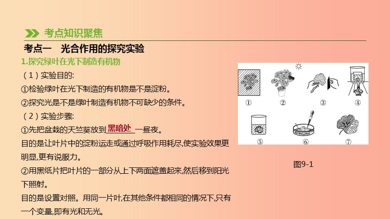 2019年中考生物专题复习三生物圈中的绿色植物第09课时绿色植物的光合作用课件新人教版.ppt_第2页