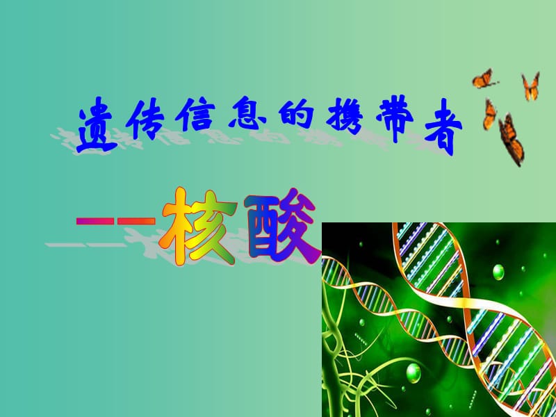 高中生物 第二章 組成細(xì)胞的分子 第3節(jié) 遺傳信息的攜帶者──核酸課件 新人教版必修1.ppt_第1頁