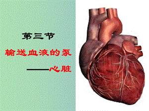 七年级生物下册 4.4.3 输送血液的泵—心脏课件 新人教版.ppt