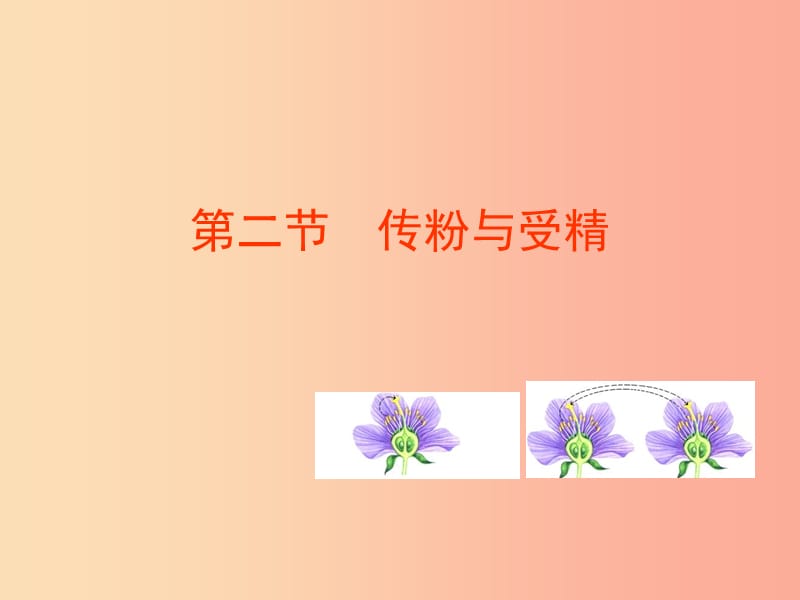 山东省八年级生物上册 4.1.2 传粉与受精课件（新版）济南版.ppt_第3页