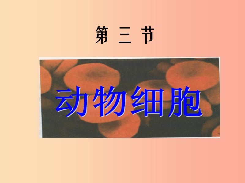 安徽省七年级生物上册 2.1.3 动物细胞课件3 新人教版.ppt_第1页