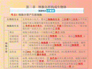 （聊城專版）山東省2019年中考生物總復(fù)習(xí) 第二單元 生物體的結(jié)構(gòu)層次 第二章 細(xì)胞怎樣構(gòu)成生物體課件.ppt