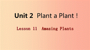 2019年春八年級(jí)英語下冊 Unit 2 Plant a Plant Lesson 11 Amazing Plants課件（新版）冀教版.ppt