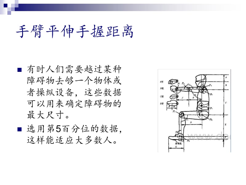 人机工程学人体尺寸.ppt_第3页