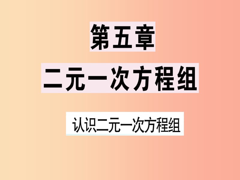 八年級數(shù)學(xué)上冊 第五章《二元一次方程組》5.1 認(rèn)識(shí)二元一次方程組習(xí)題講評課件 北師大版.ppt_第1頁