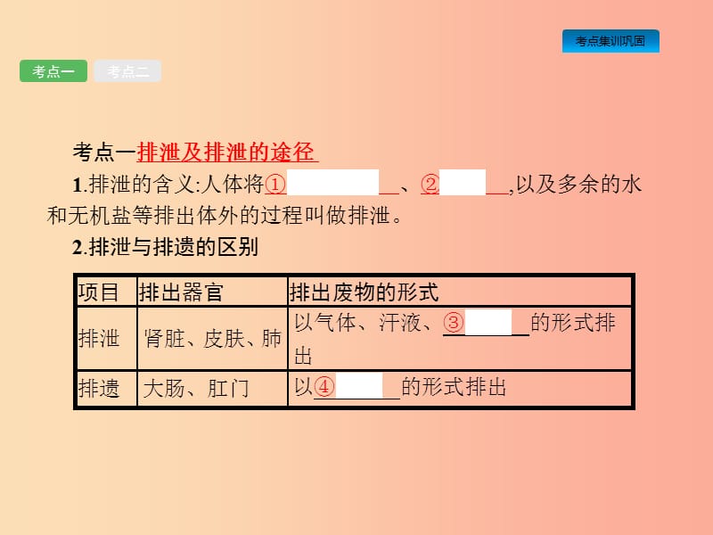 课标通用甘肃省2019年中考生物总复习第四单元生物圈中的人第十三讲人体内废物的排出课件.ppt_第2页