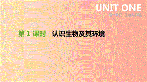 2019年中考生物 專題復(fù)習(xí)一 生物與環(huán)境 第01課時 認(rèn)識生物及其環(huán)境課件 新人教版.ppt