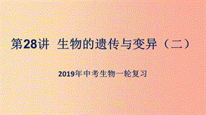 （人教通用）2019年中考生物一輪復(fù)習(xí) 第28講 生物的遺傳與變異課件2.ppt