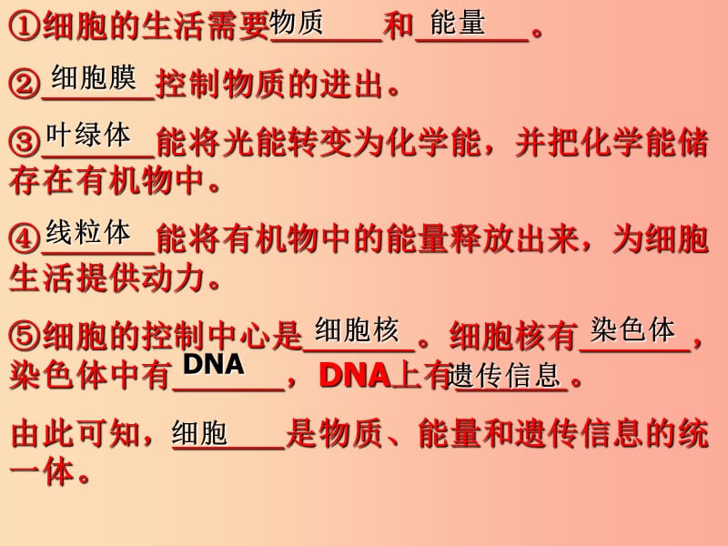 2019年七年級(jí)生物上冊(cè) 2.2.1《細(xì)胞通過分裂產(chǎn)生新細(xì)胞》課件3 新人教版.ppt_第1頁