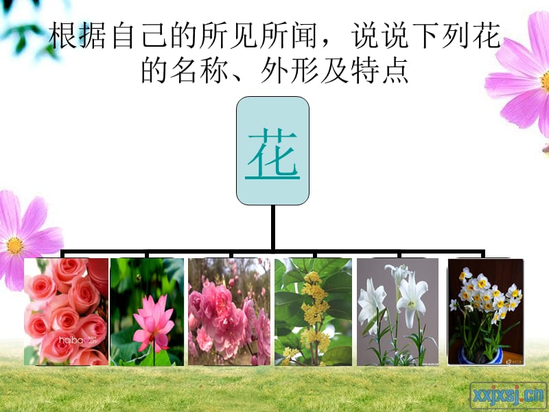 古诗二首-梅花-北京.ppt_第1页