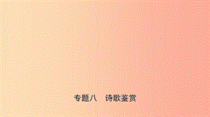 山東省臨沂市2019年中考語(yǔ)文 專(zhuān)題復(fù)習(xí)八 詩(shī)歌鑒賞課件.ppt