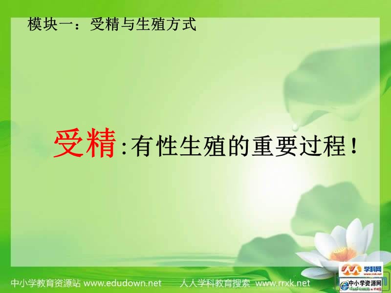 动物的生殖-教学课件.ppt_第2页