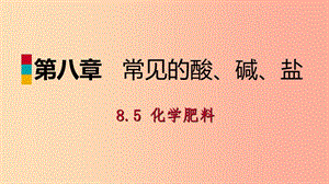 九年級化學(xué)下冊 第八章 常見的酸、堿、鹽 8.5 化學(xué)肥料同步課件 （新版）粵教版.ppt