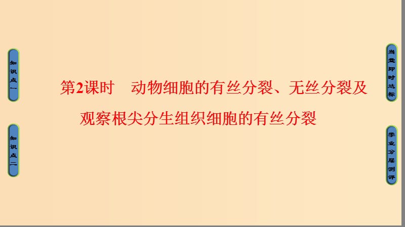 2018版高中生物第六章細胞的生命歷程第1節(jié)第2課時動物細胞的有絲分裂無絲分裂及觀察根尖分生組織細胞的有絲分裂課件新人教版必修1 .ppt_第1頁