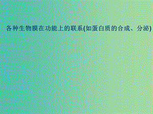 高考生物 高頻考點8 分泌蛋白的合成、加工、運輸素材.ppt